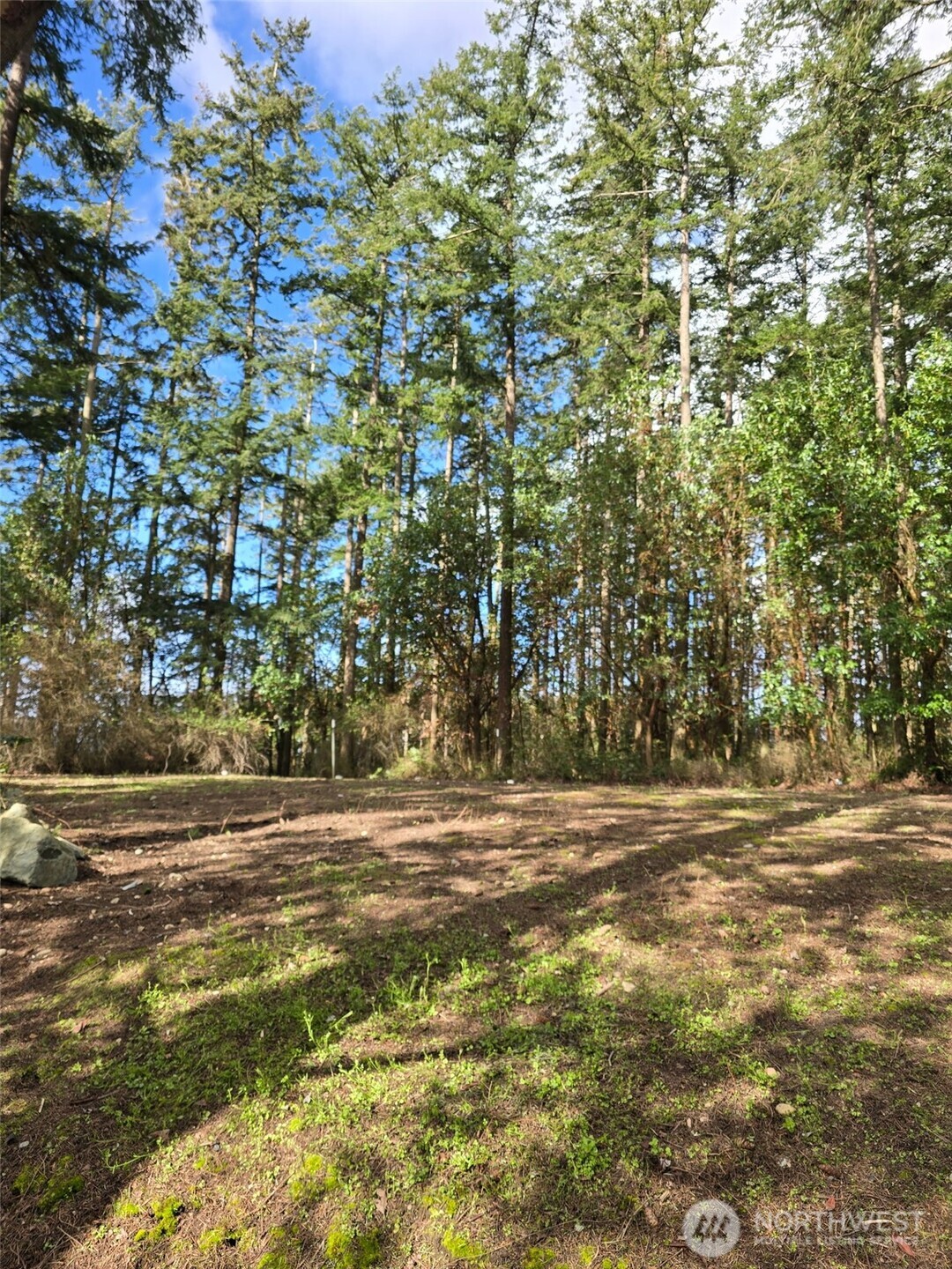 1012 North Scenic Heights Road Oak Harbor, WA 98277 - Photo 23 of 25 a view of a field with plants and trees