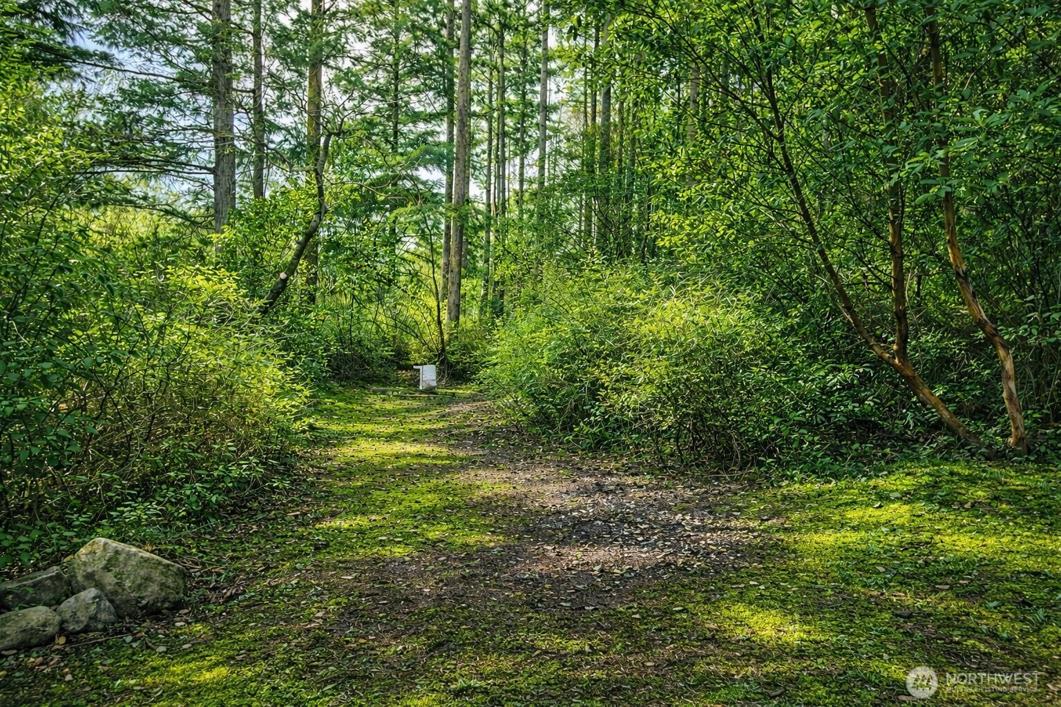 1012 North Scenic Heights Road Oak Harbor, WA 98277 - Photo 7 of 25 a view of outdoor space and trees all around