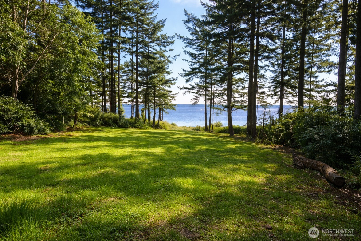 1012 North Scenic Heights Road Oak Harbor, WA 98277 - Photo 9 of 25 a view of a park with large trees