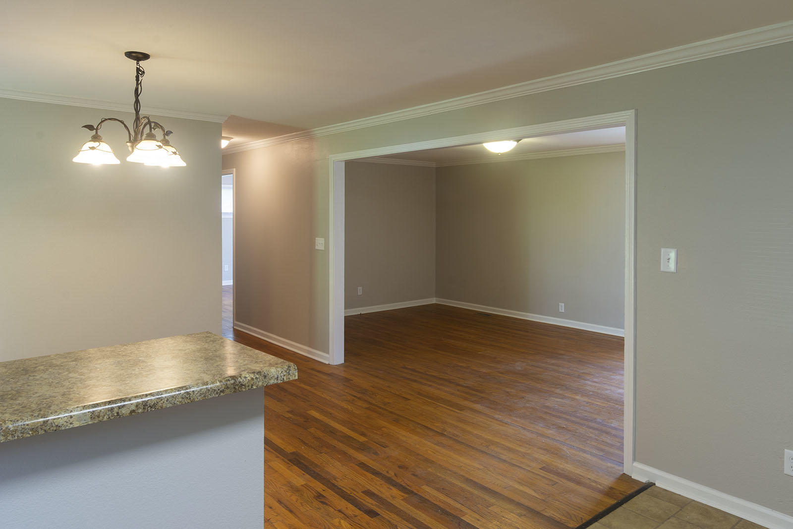 1500 Wilson Road Rossville, GA 30741 - Photo 3 of 42 _DSC9193
