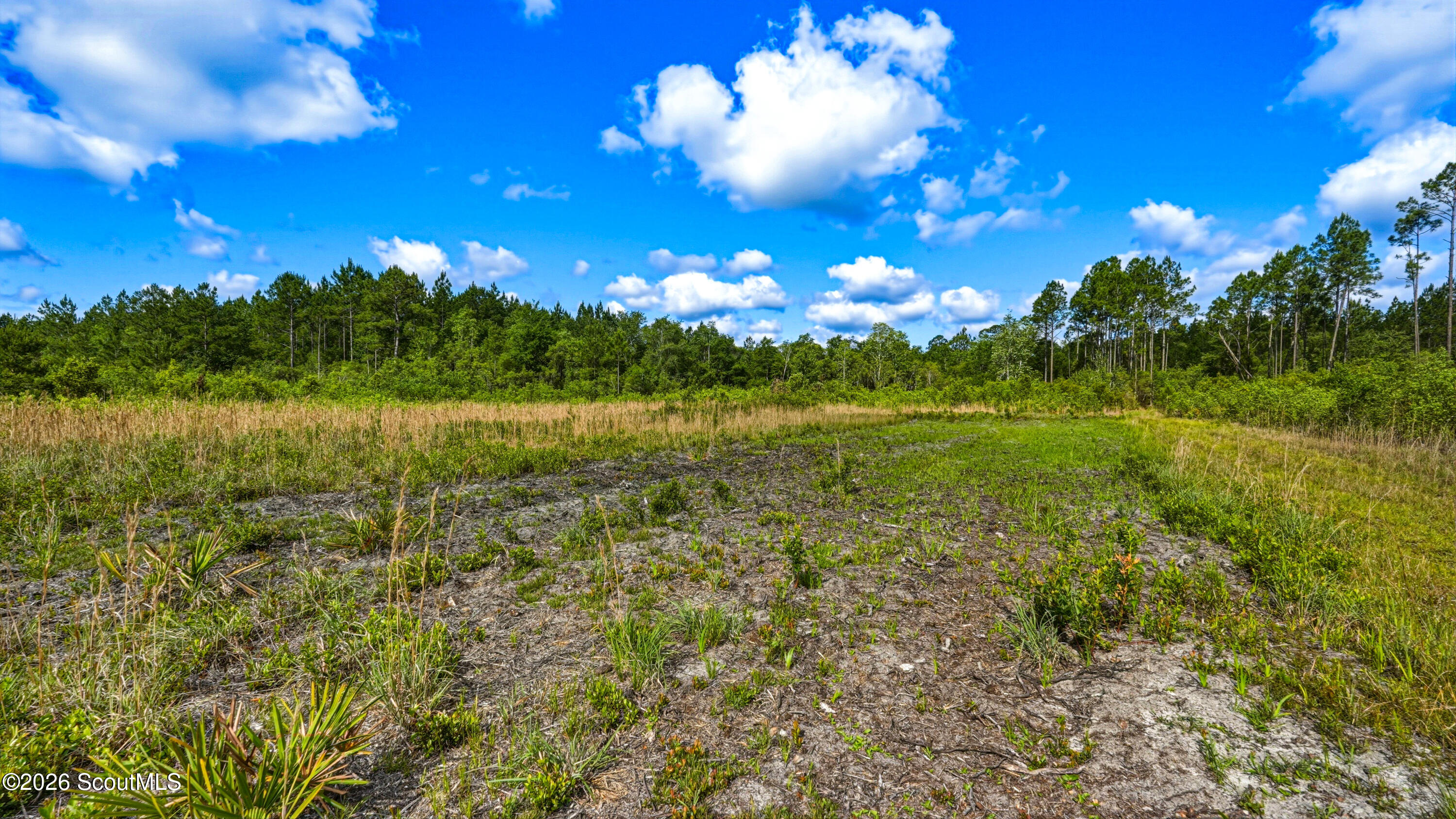 88 Minnesota Road Screven, GA 31560 - Photo 45 of 52