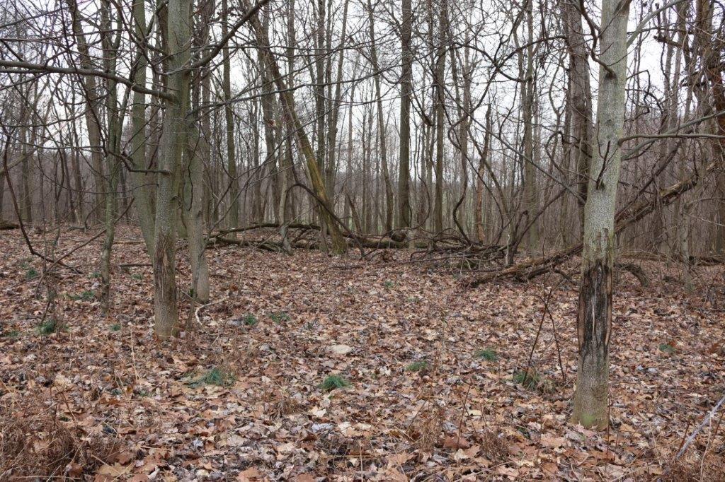 17100 Barton Road Fredericktown, OH 43019 - Photo 20 of 30 20