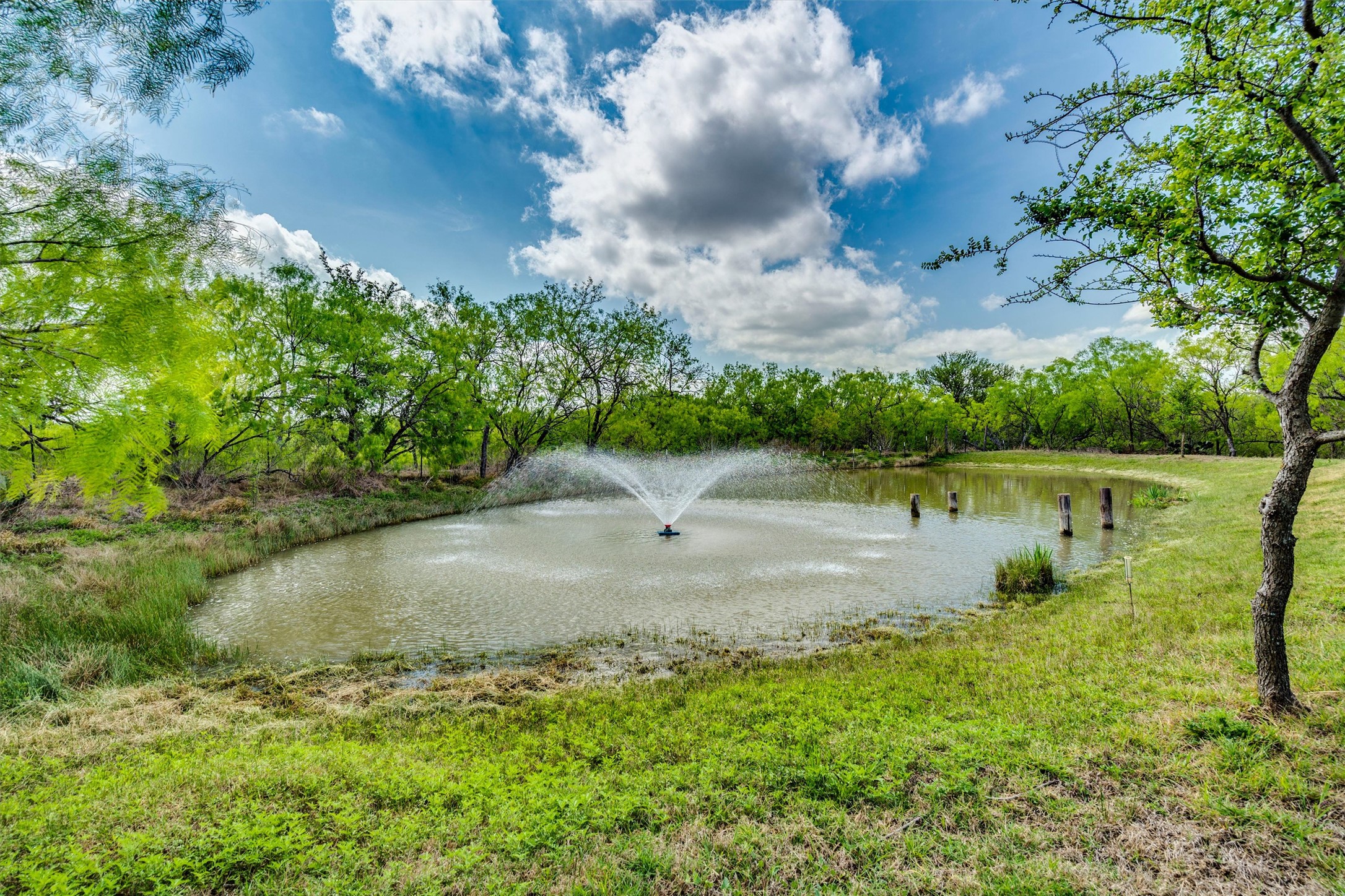 4001 Barth Road Lockhart, TX 78644 - Photo 25 of 28