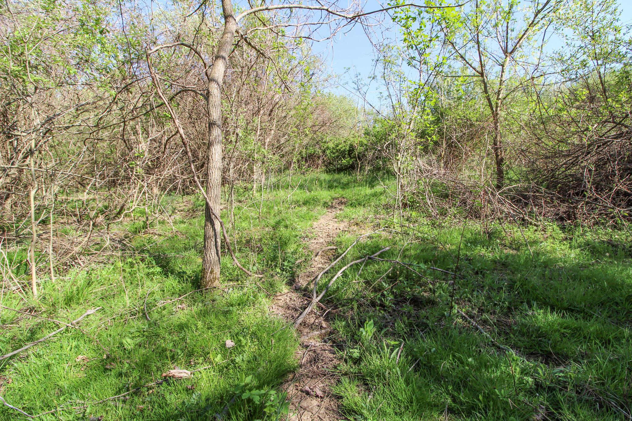 0 State Route 800 Road Barnesville, OH 43713 - Photo 21 of 38 IMG_6234