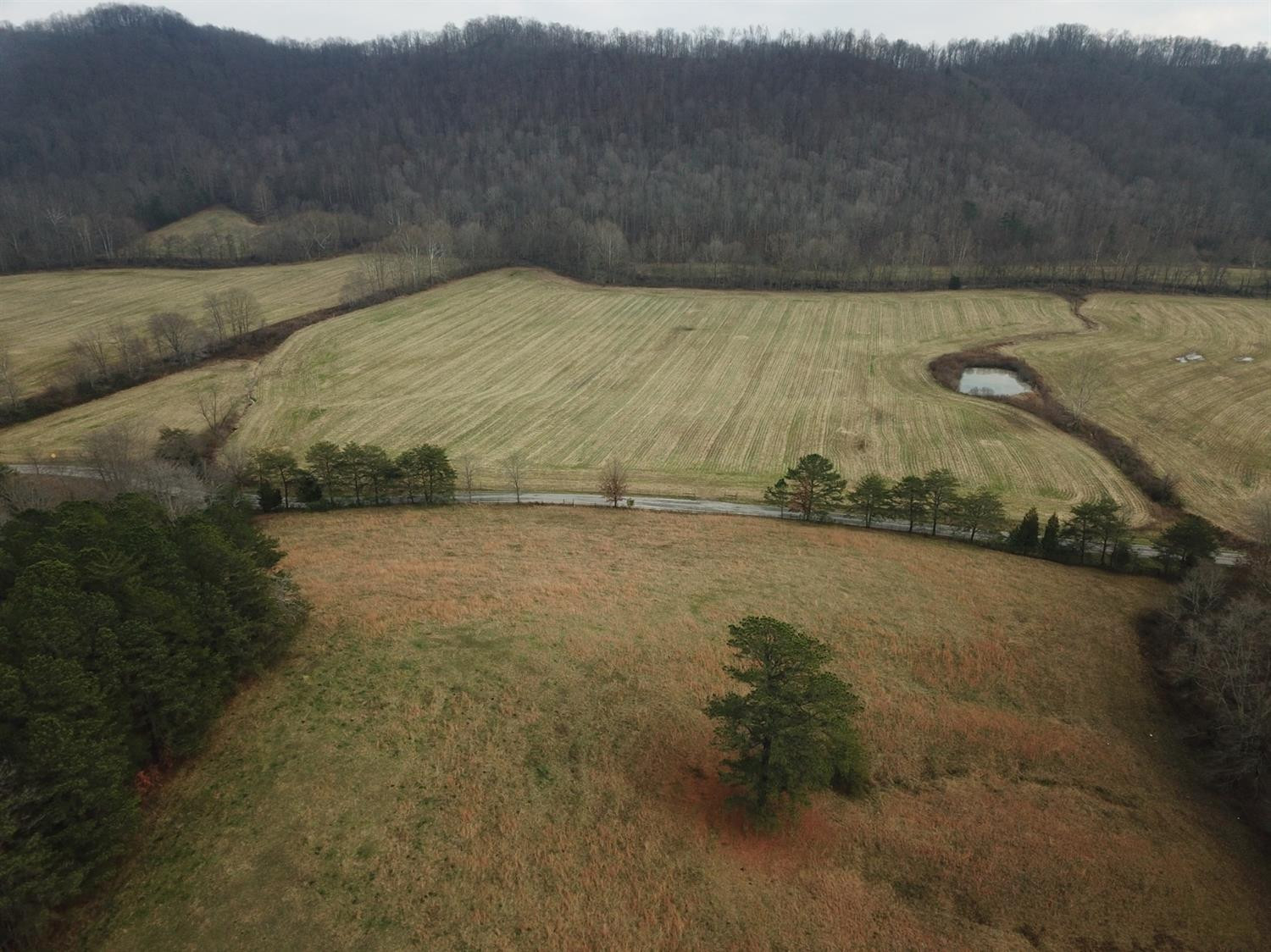 172 East Fork Road Means, KY 40346 - Photo 62 of 68 Photo 62