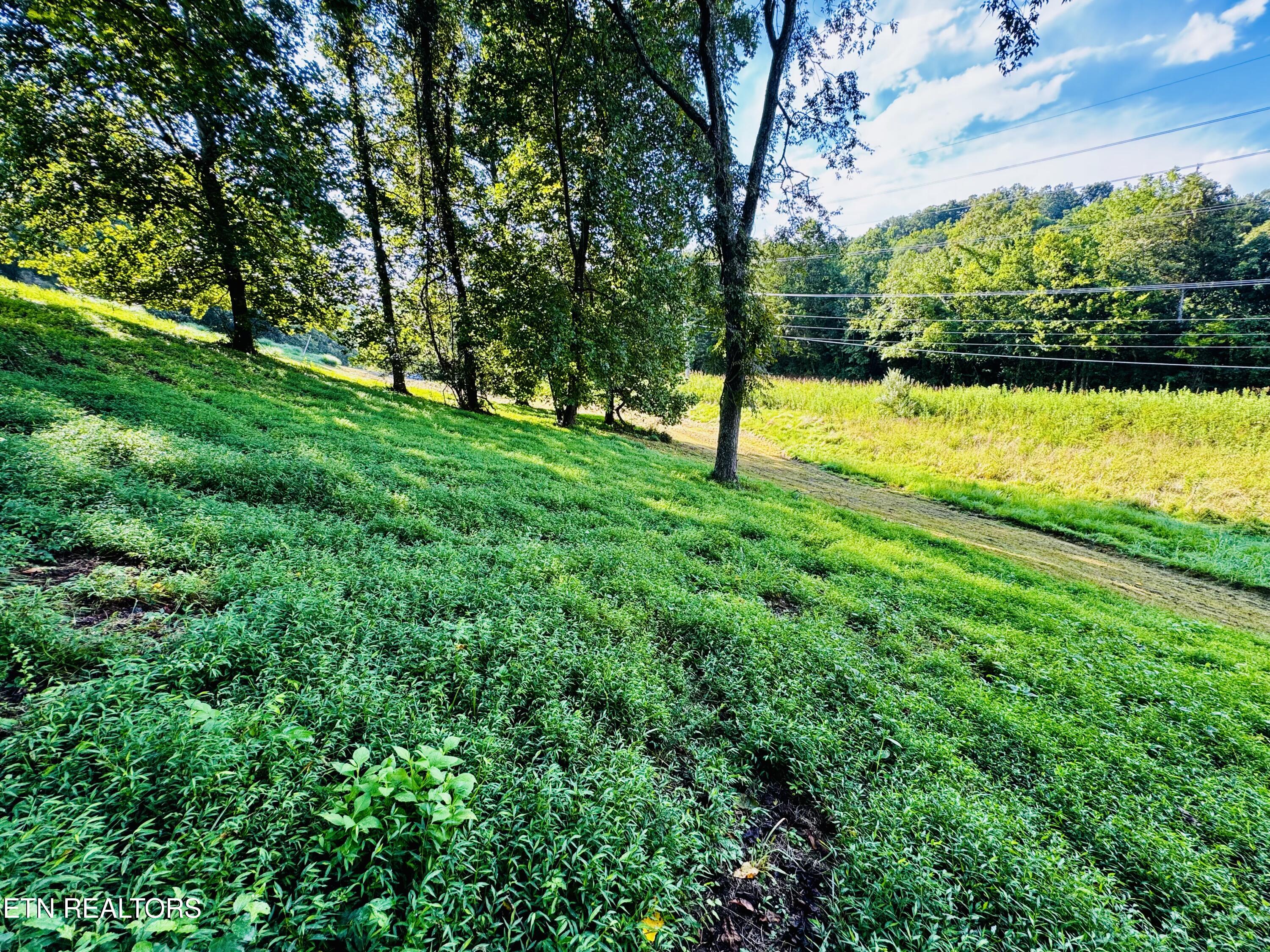 Lot 207 Clyde Ed Road Kodak, TN 37764 - Photo 4 of 13 IMG_3991
