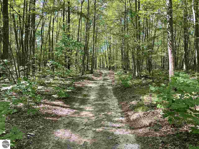 3570 Seaman Road Wellston, MI 49689 - Photo 25 of 47 25
