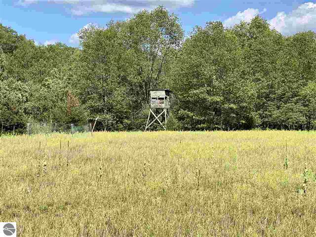 3570 Seaman Road Wellston, MI 49689 - Photo 33 of 47 33