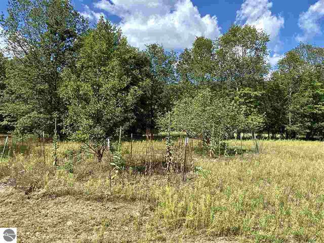 3570 Seaman Road Wellston, MI 49689 - Photo 34 of 47 34