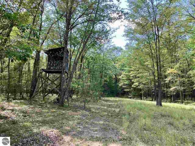 3570 Seaman Road Wellston, MI 49689 - Photo 36 of 47 36