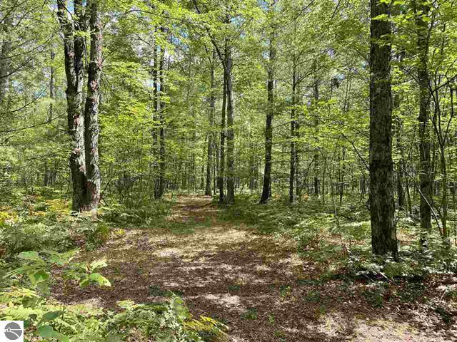 3570 Seaman Road Wellston, MI 49689 - Photo 43 of 47 44