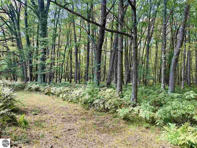 3570 Seaman Road Wellston, MI 49689 - Photo 44 of 47 45