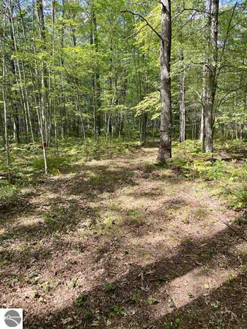 3570 Seaman Road Wellston, MI 49689 - Photo 47 of 47 48