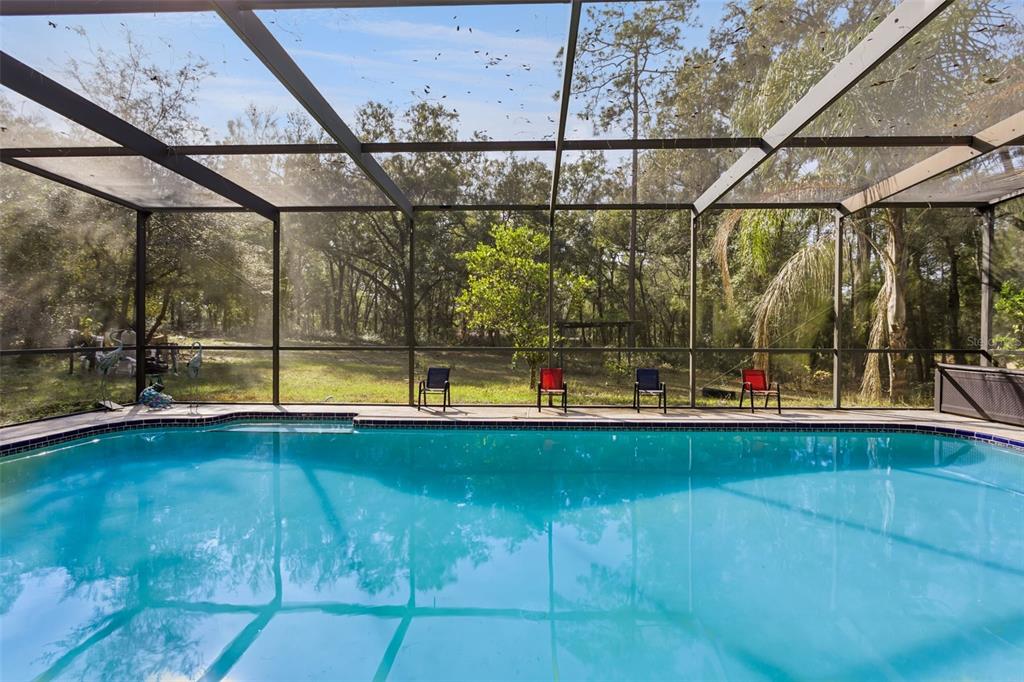 1208 D Arcy Road Lady Lake, FL 32159 - Photo 1 of 50 a view of swimming pool with a yard