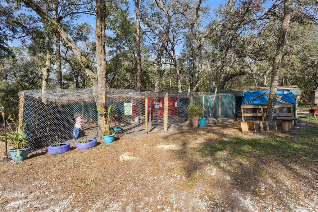 1208 D Arcy Road Lady Lake, FL 32159 - Photo 33 of 50 a view of a park with slides