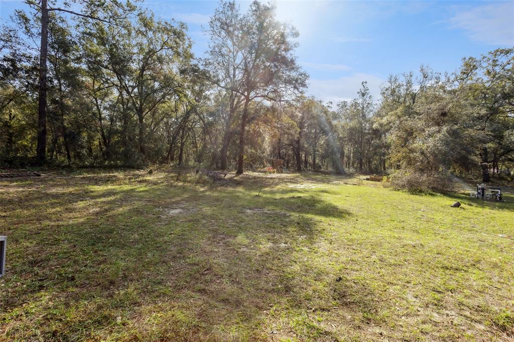 1208 D Arcy Road Lady Lake, FL 32159 - Photo 34 of 50 a view of outdoor space with trees