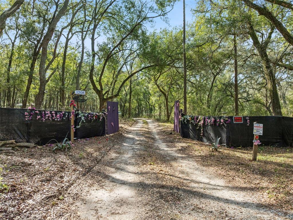 1208 D Arcy Road Lady Lake, FL 32159 - Photo 40 of 50 a view of a outdoor space