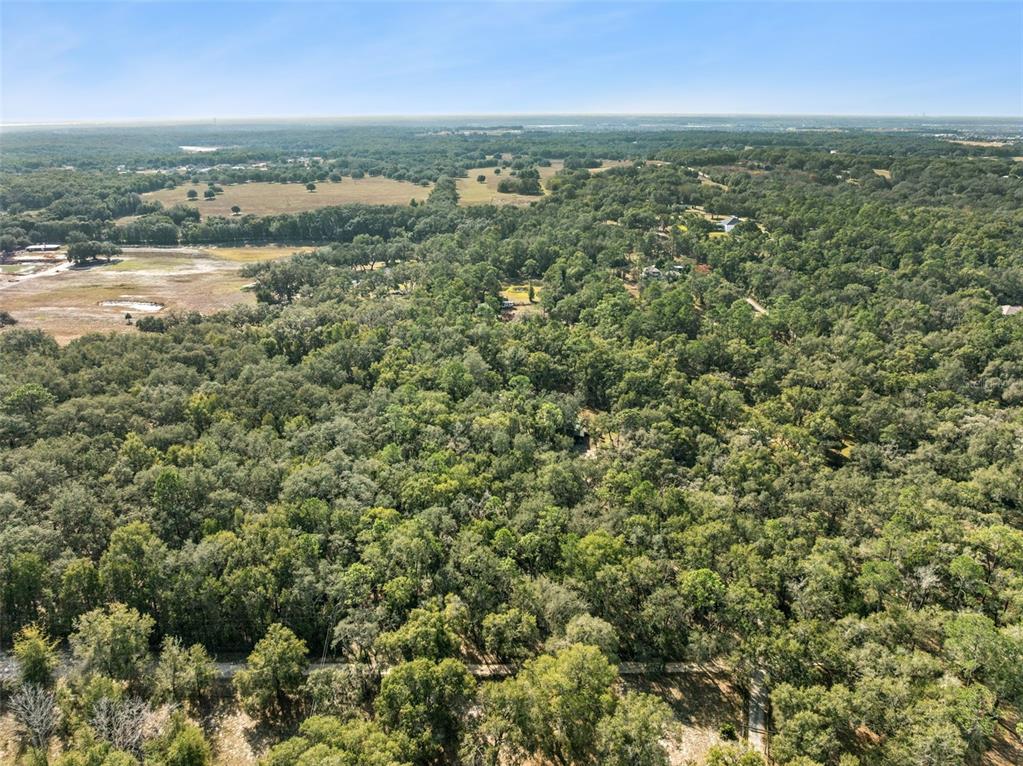 1208 D Arcy Road Lady Lake, FL 32159 - Photo 45 of 50 an aerial view of residential houses with outdoor space and trees
