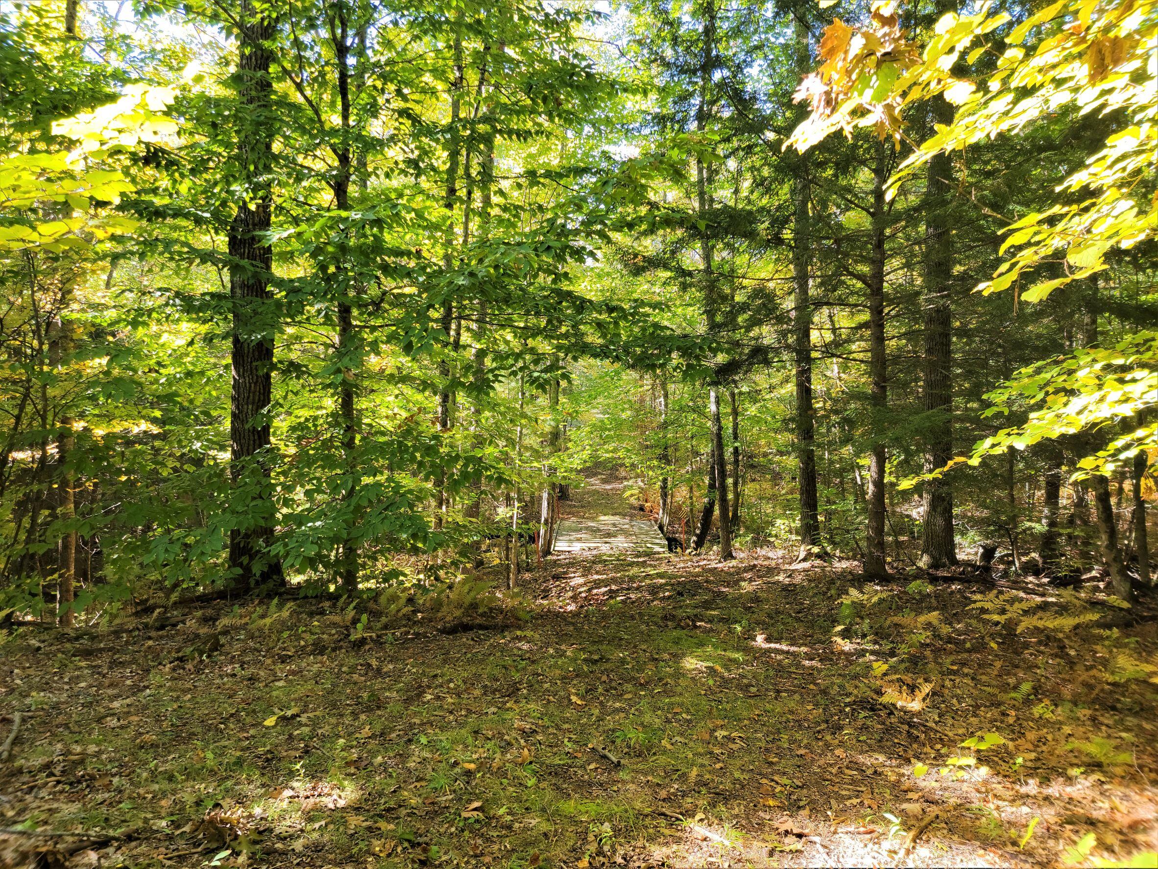 669 Old Greene Road Lewiston, ME 04240 - Photo 24 of 32 ITS Trail