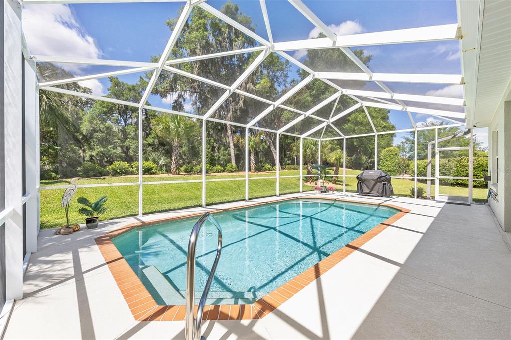 19639 Southwest 77th Loop Dunnellon, FL 34432 - Photo 45 of 59 a view of a backyard with a swimming pool