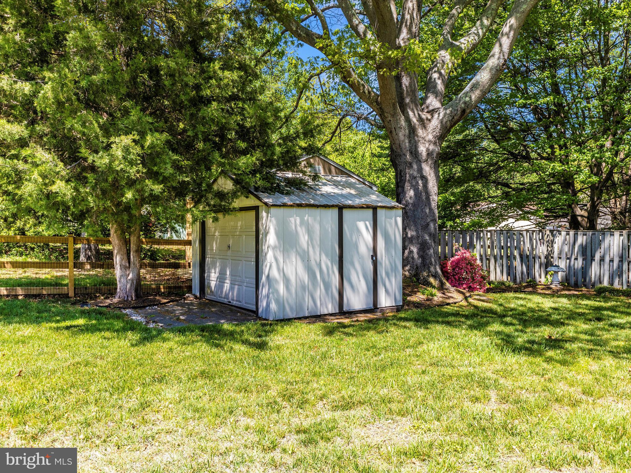 8344 Capel Drive Pasadena, MD 21122 - Photo 17 of 30 a view of backyard with wooden fence and a large tree