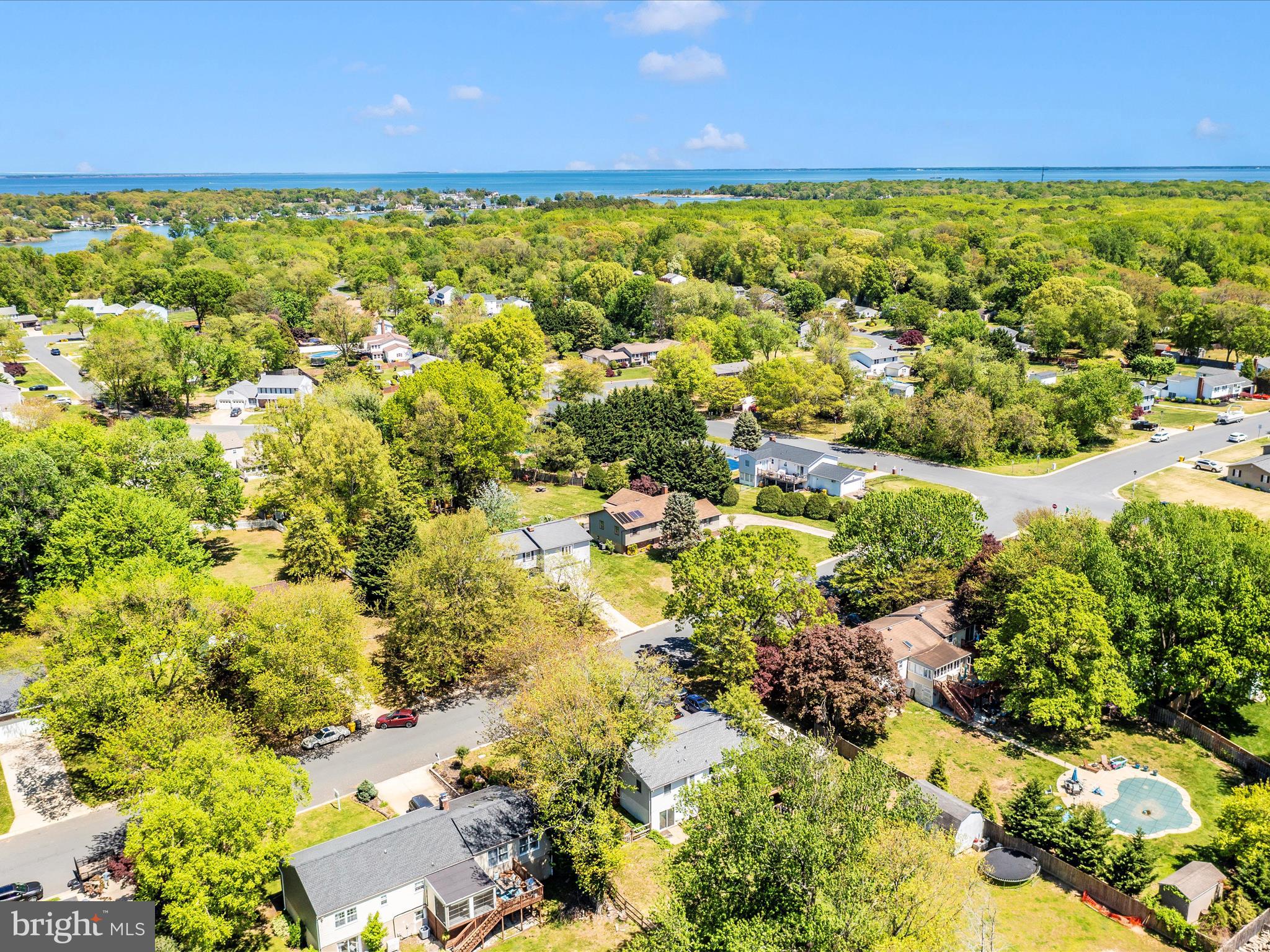 8344 Capel Drive Pasadena, MD 21122 - Photo 4 of 30 a view of a yard with plants and large trees