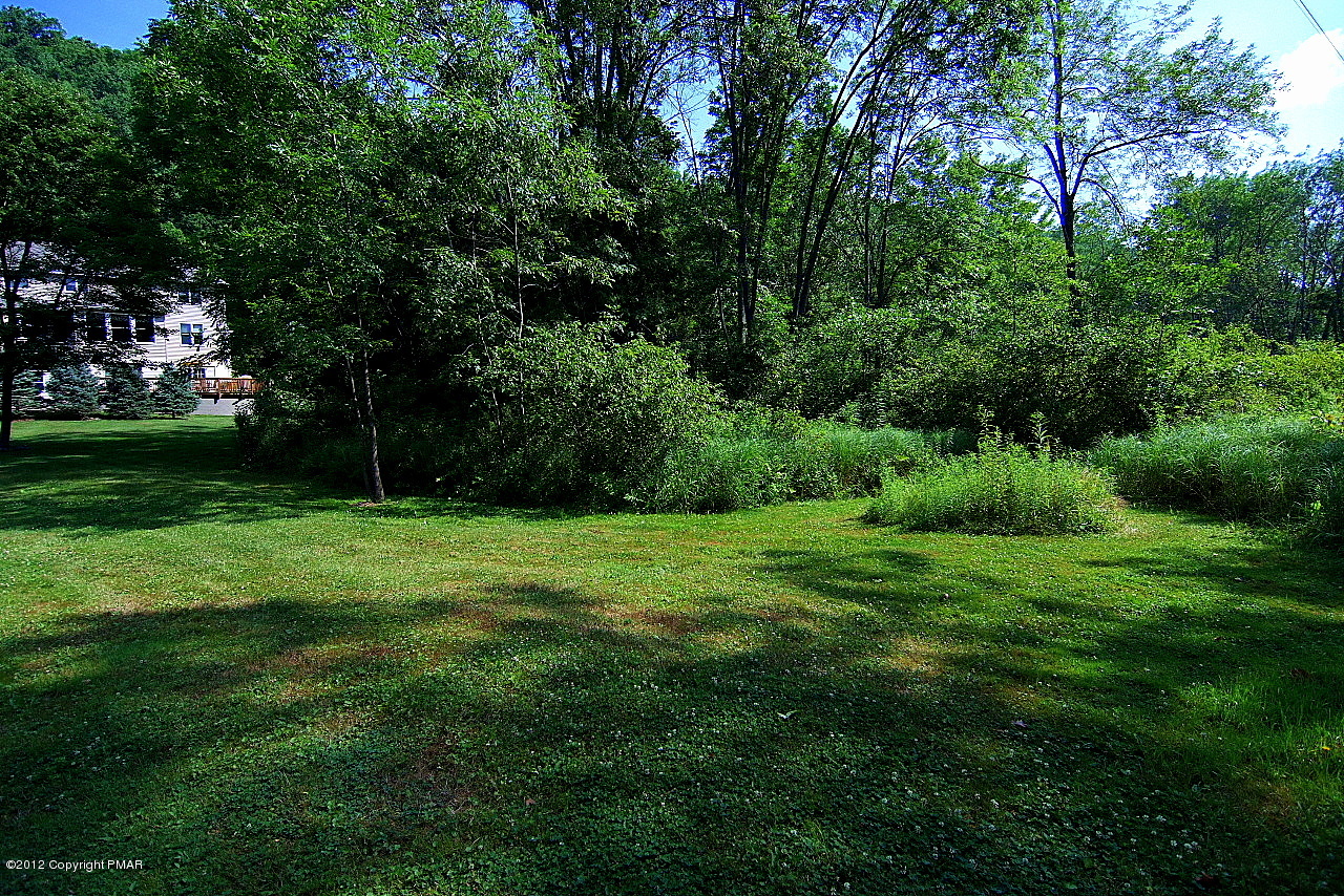 6726 Cherry Valley Road Stroudsburg, PA 18360 - Photo 15 of 75 Expanded View of Front Yard