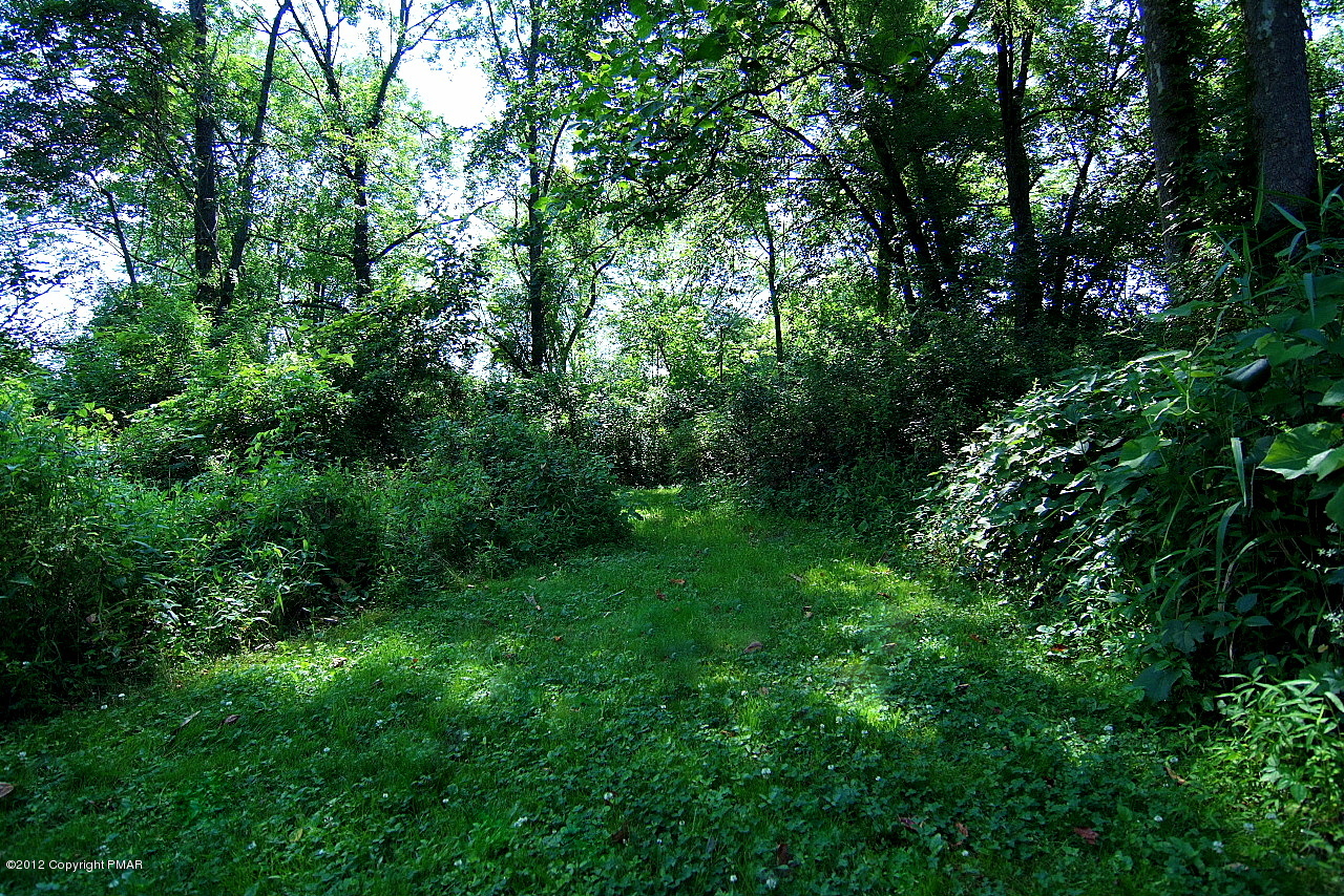 6726 Cherry Valley Road Stroudsburg, PA 18360 - Photo 16 of 75 Path to Shallow Rapids