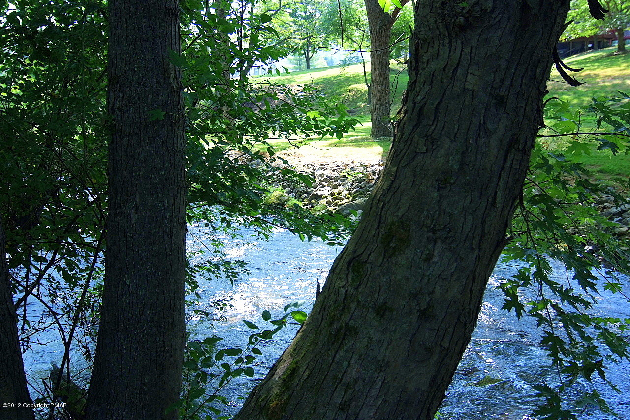 6726 Cherry Valley Road Stroudsburg, PA 18360 - Photo 18 of 75 Pleasant View Across Creek