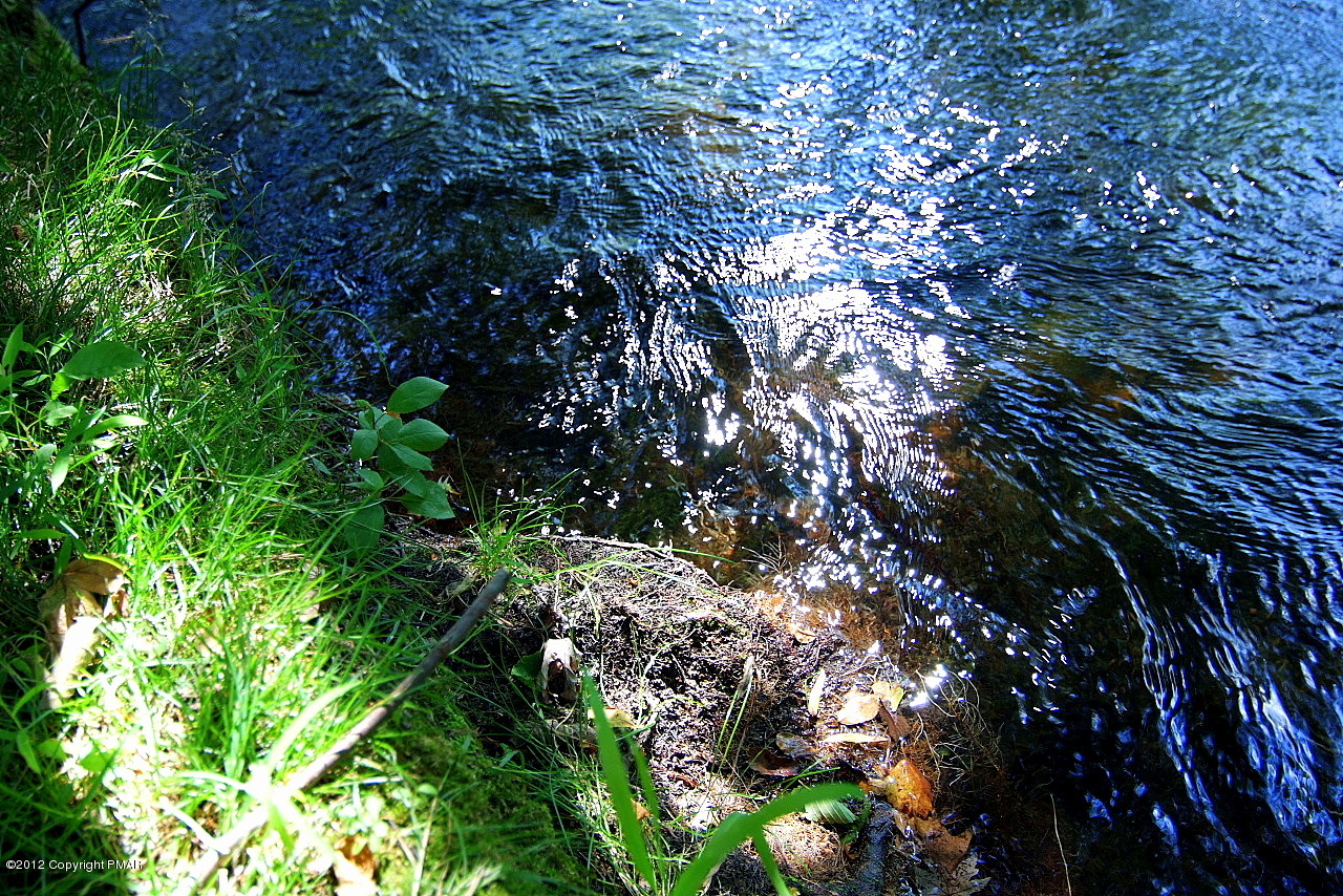 6726 Cherry Valley Road Stroudsburg, PA 18360 - Photo 20 of 75 Step in--the Water's fine!