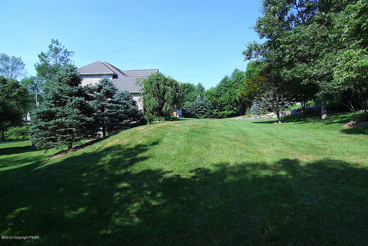 6726 Cherry Valley Road Stroudsburg, PA 18360 - Photo 3 of 75 Right Side of Yard