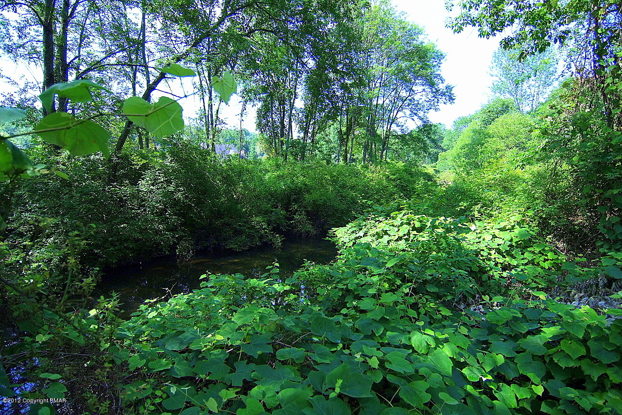 6726 Cherry Valley Road Stroudsburg, PA 18360 - Photo 65 of 75 More Creek