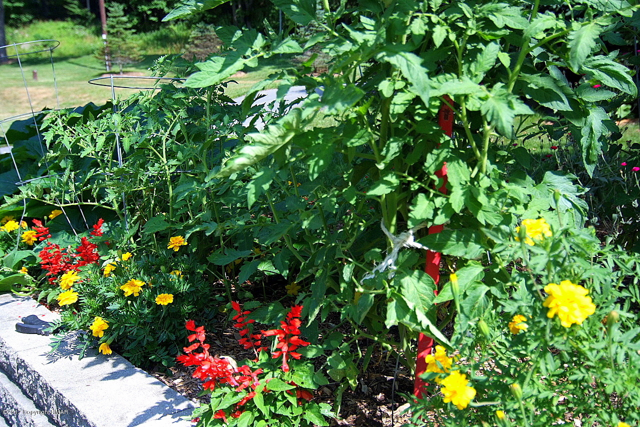 6726 Cherry Valley Road Stroudsburg, PA 18360 - Photo 69 of 75 More Garden