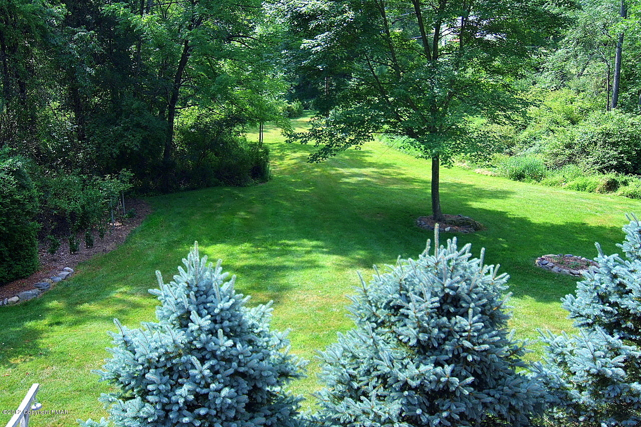 6726 Cherry Valley Road Stroudsburg, PA 18360 - Photo 72 of 75 Yard at Back
