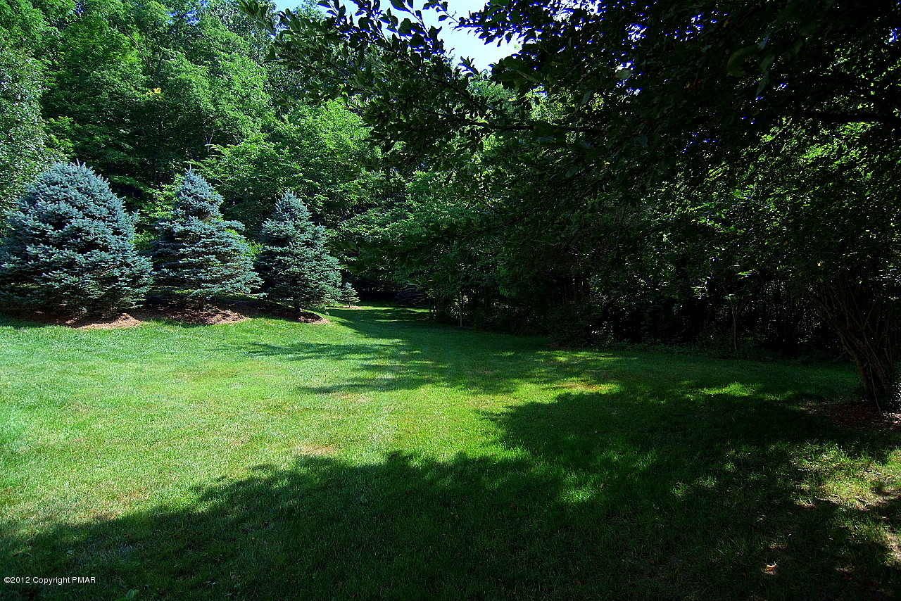 6726 Cherry Valley Road Stroudsburg, PA 18360 - Photo 8 of 75 Looking back toward Front Yard