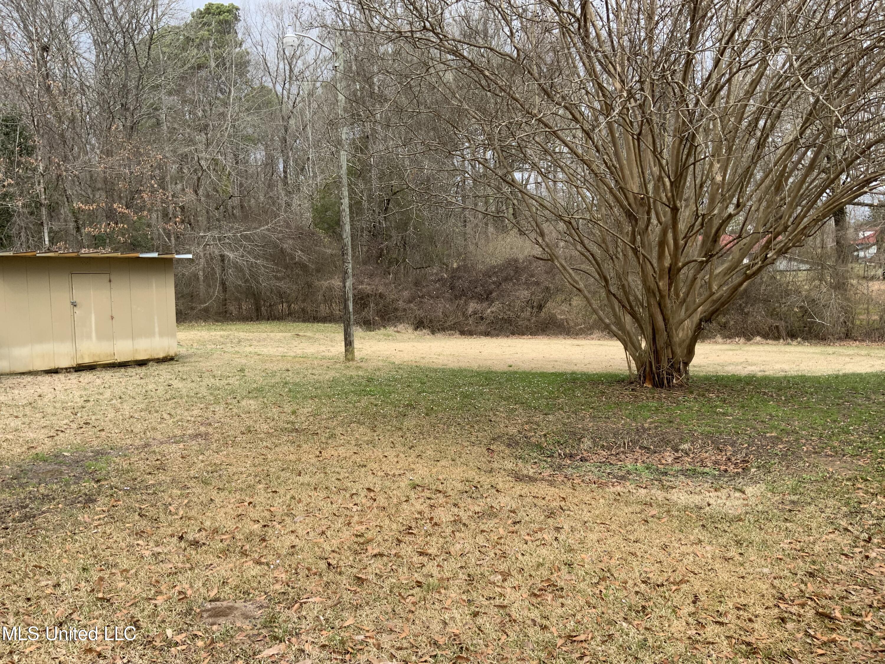18153 Emory Road West, MS 39192 - Photo 13 of 16 IMG_0427 3