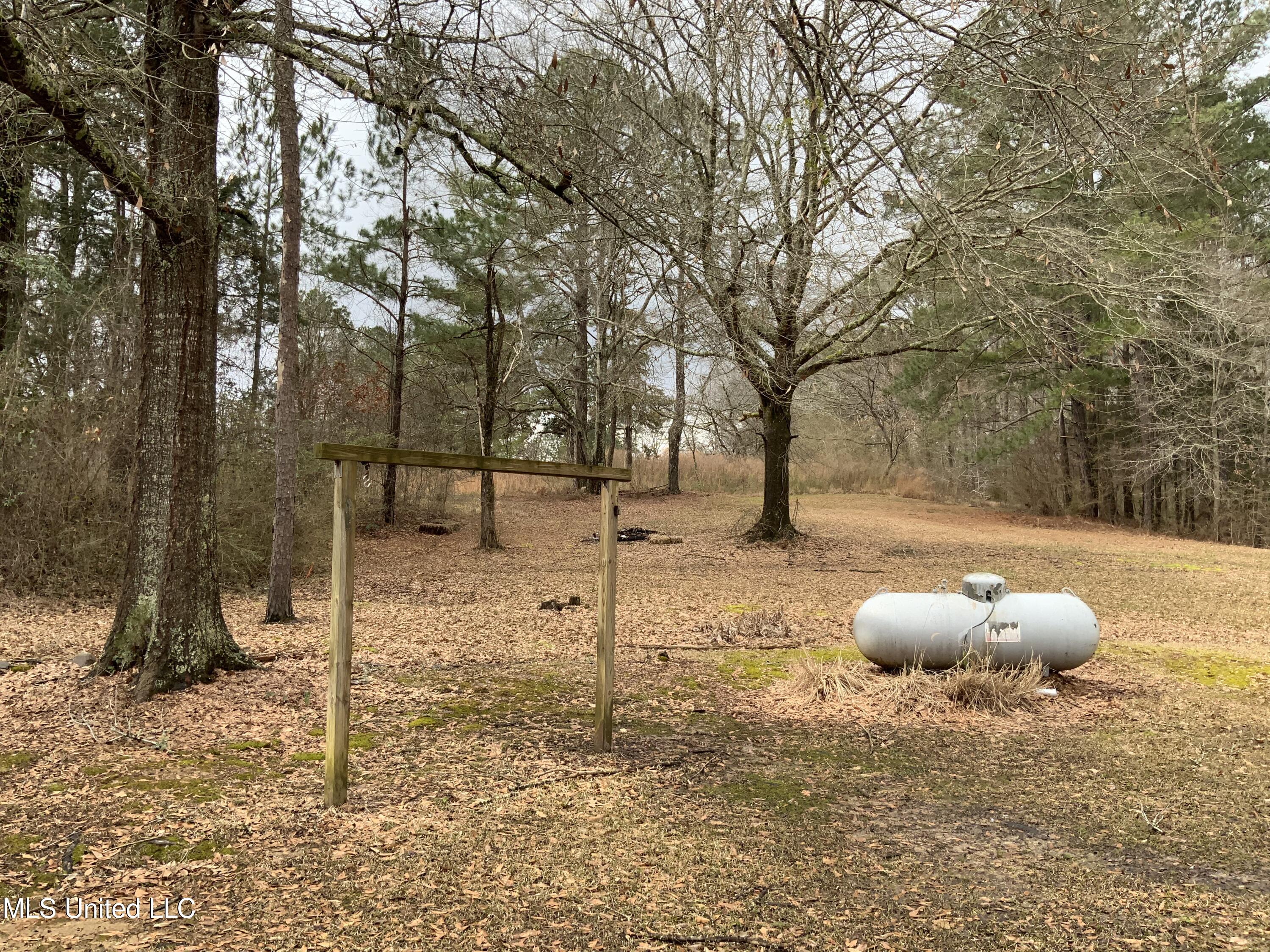 18153 Emory Road West, MS 39192 - Photo 14 of 16 IMG_0426 3