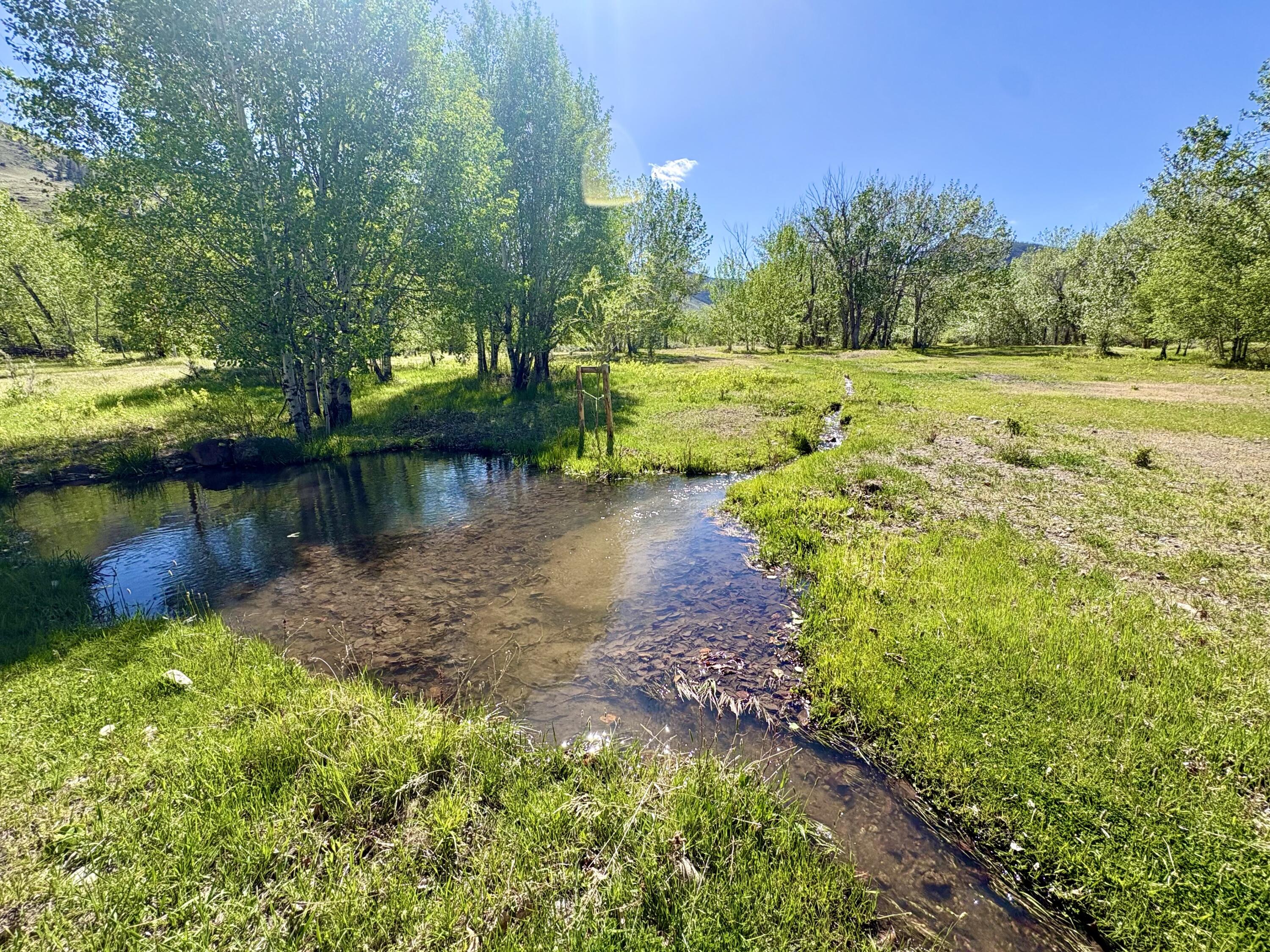 9885 Challis Creek Road Challis, ID 83226 - Photo 55 of 61 9885 Challis Creek Rd, Challis