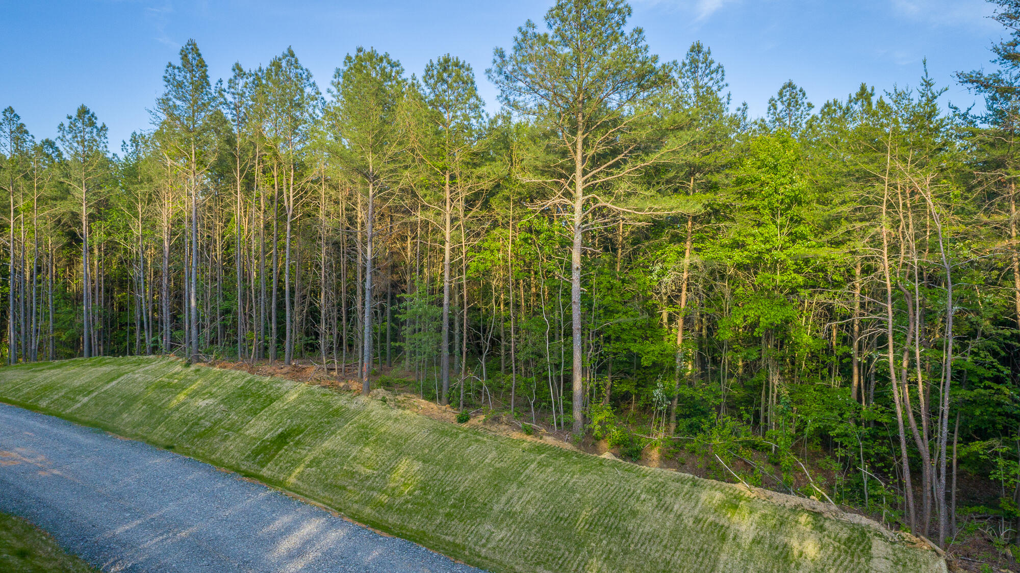 0 Cannon Way, Unit LOT 1317 Guild, TN 37340 - Photo 22 of 99 0 Cannon Way - Lot 1317 HD-6