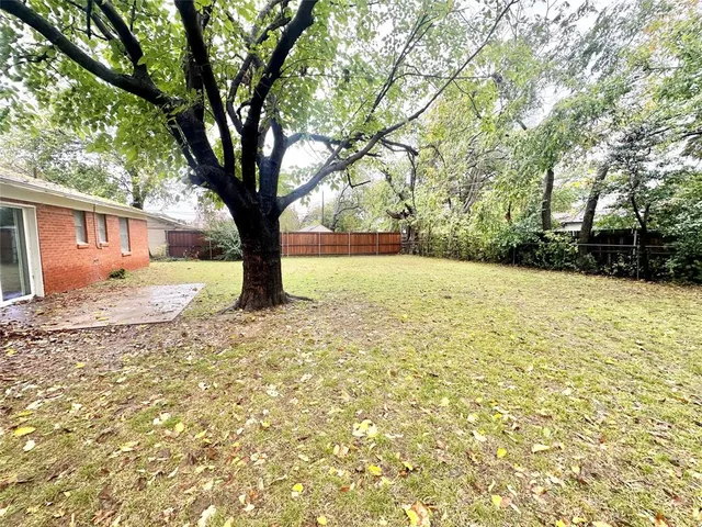 a view of backyard with tree