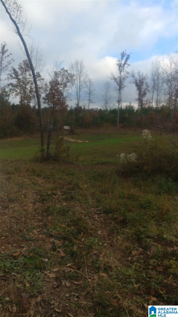 0 Bulldog Bend Road Brierfield, AL 35035 - Photo 19 of 32