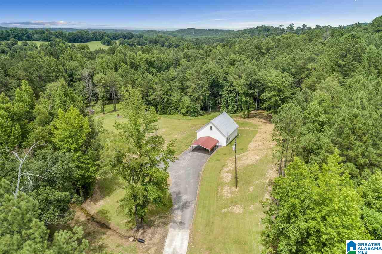3851 Humber Road Dora, AL 35062 - Photo 3 of 35