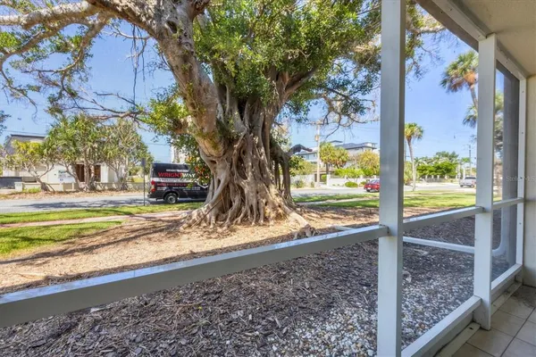 a view of a yard with a tree