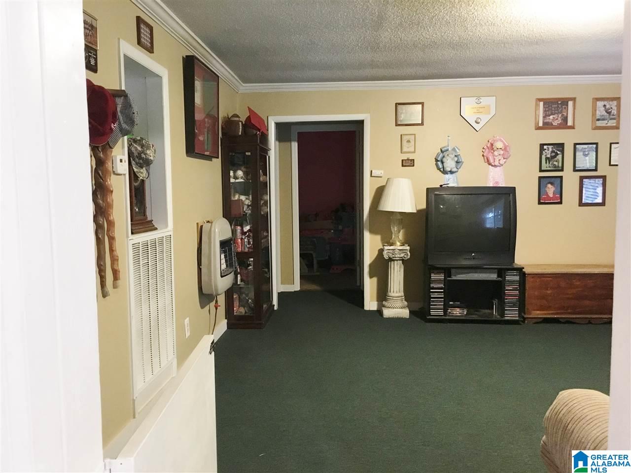 1745 Mountain Lake Road Warrior, AL 35180 - Photo 14 of 30