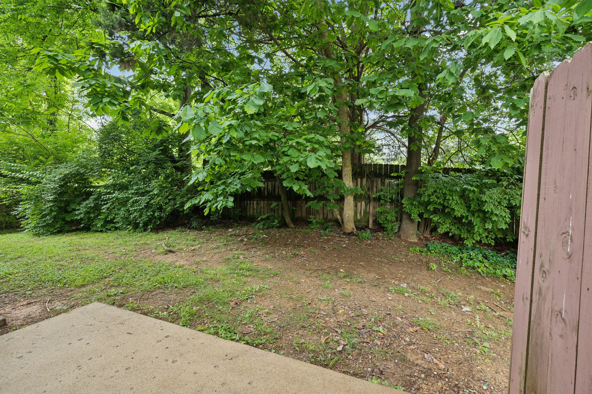3535 Bell Road, Unit 301 Nashville, TN 37214 - Photo 38 of 47 a view of a yard with plants and a trees in the background