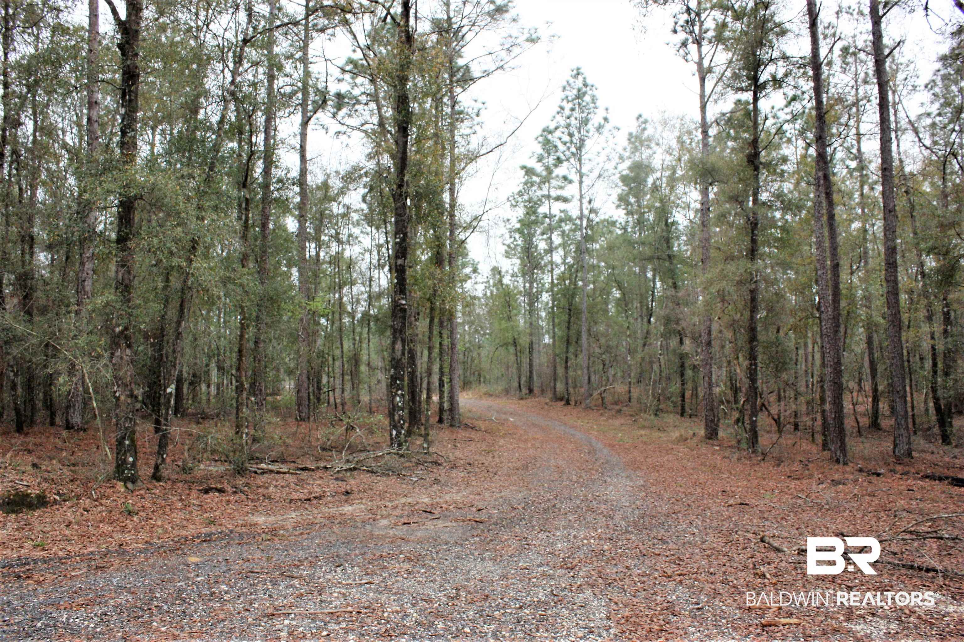 8190 B Dixon Road Bay Minette, AL 36507 - Photo 7 of 13
