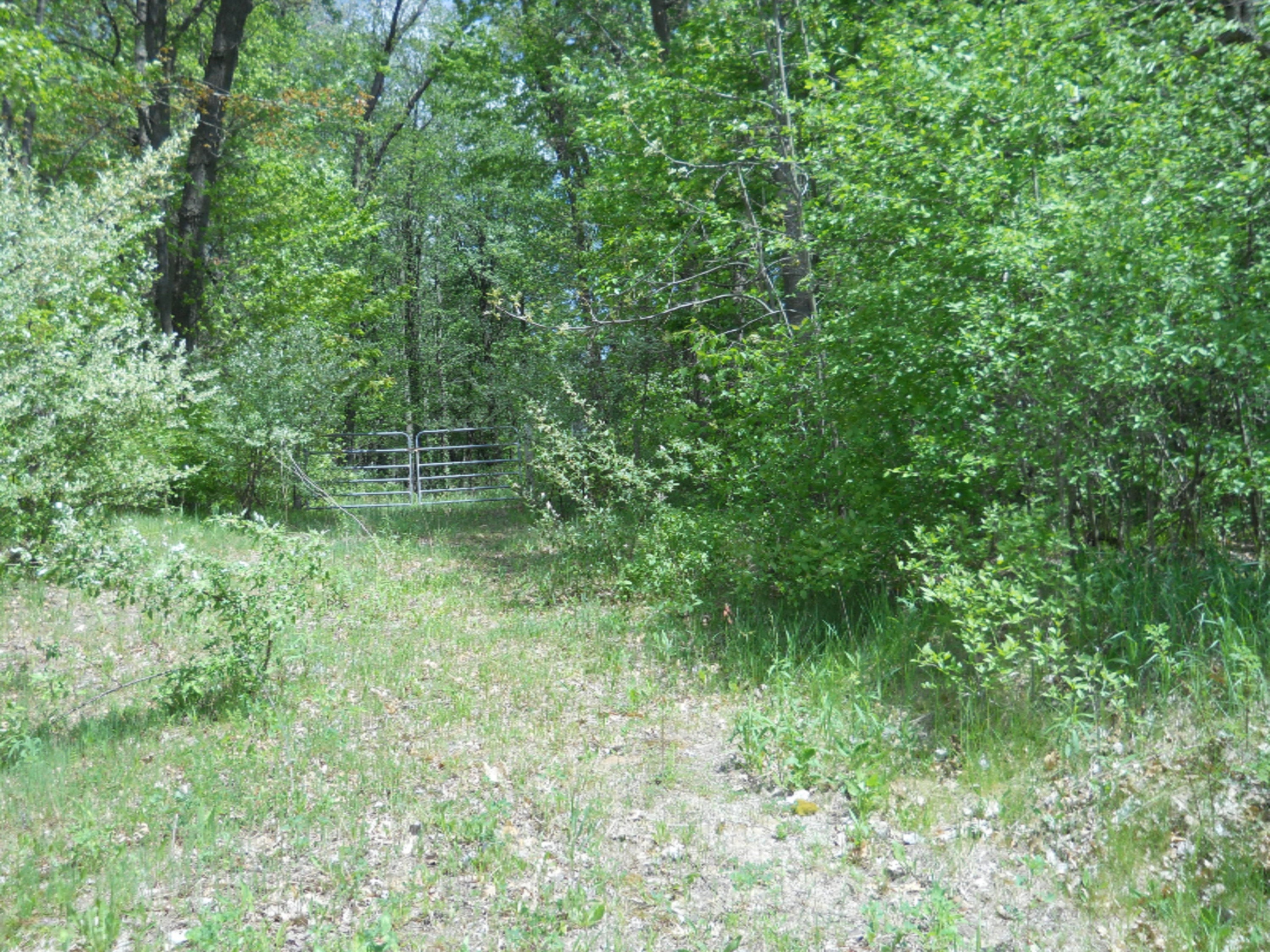 7201 South West County Line Road Greenville, MI 48838 - Photo 1 of 2 7021 S West County Line Rd.