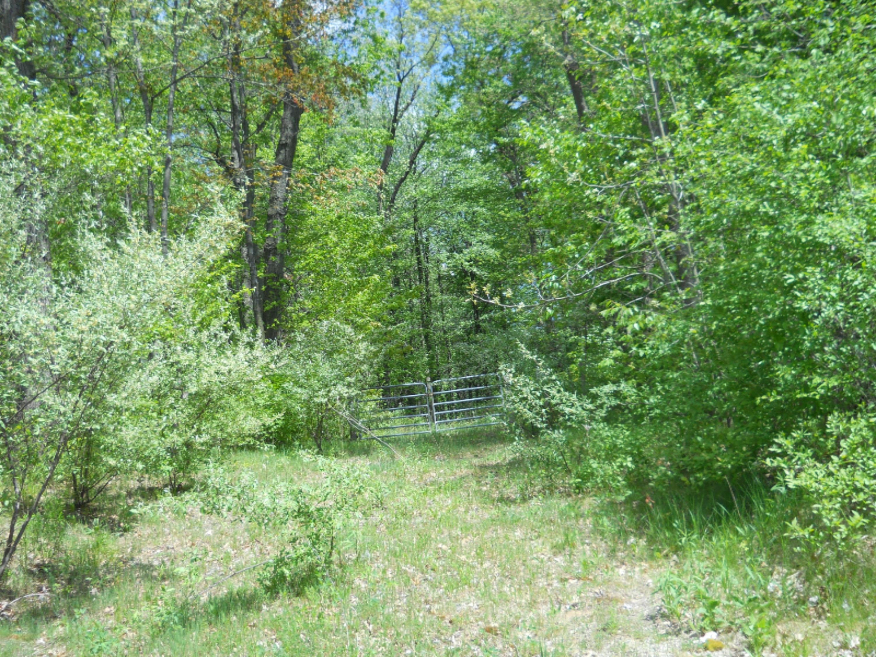 7201 South West County Line Road Greenville, MI 48838 - Photo 2 of 2 7021 S West County Line Rd.