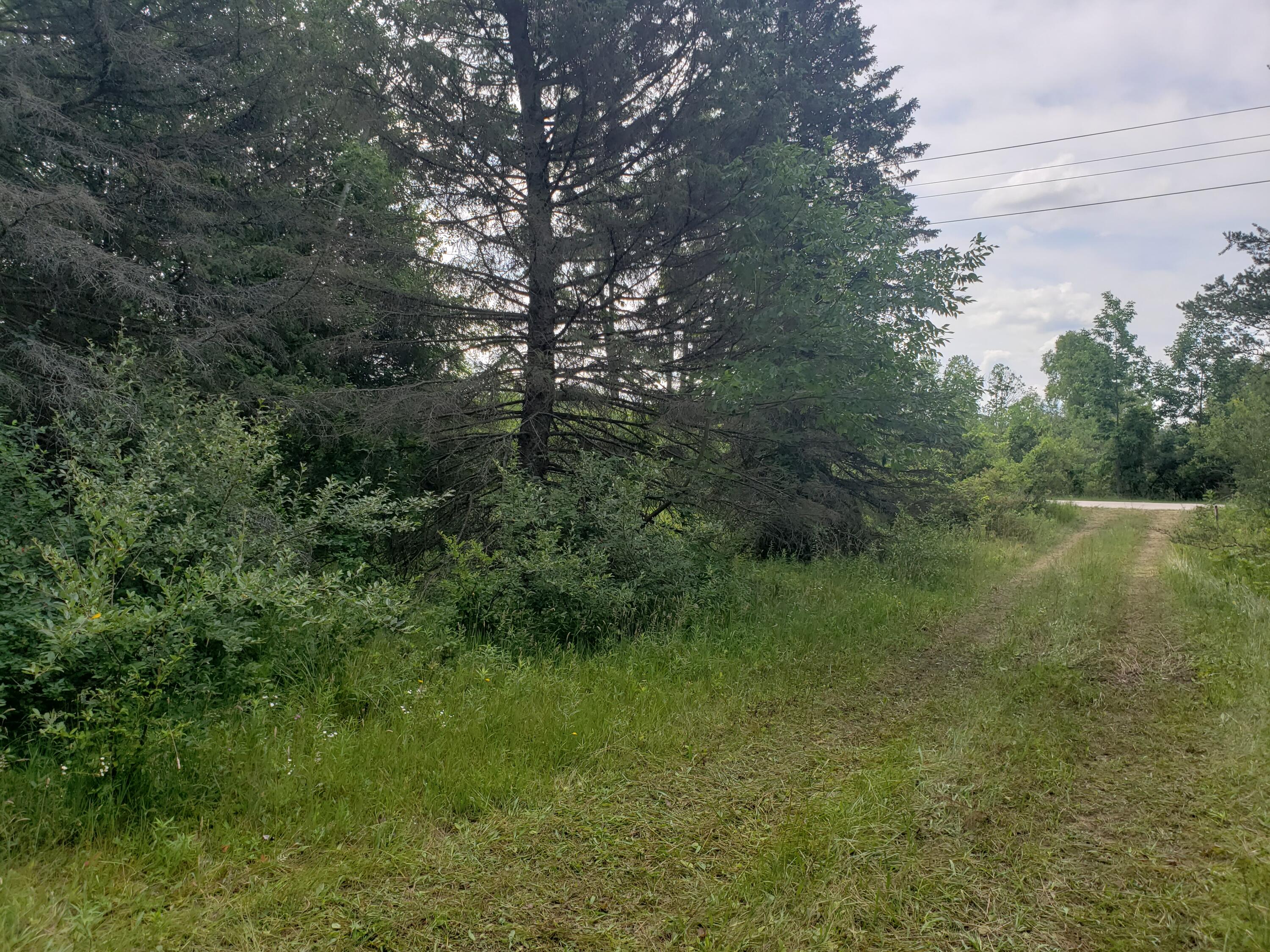 7534 West Taylor Road Mears, MI 49436 - Photo 3 of 12 20210710_115452