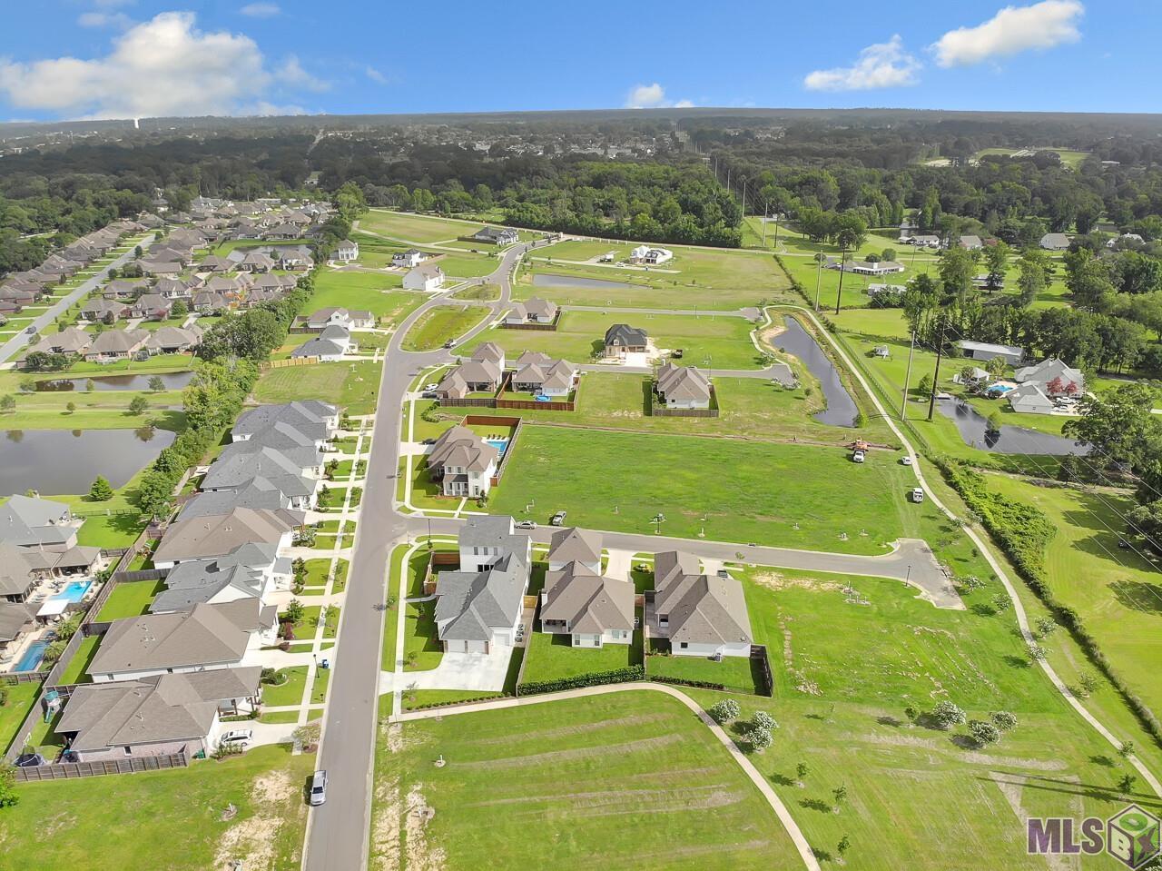 25 Indigo Lane Prairieville, LA 70769 - Photo 13 of 21